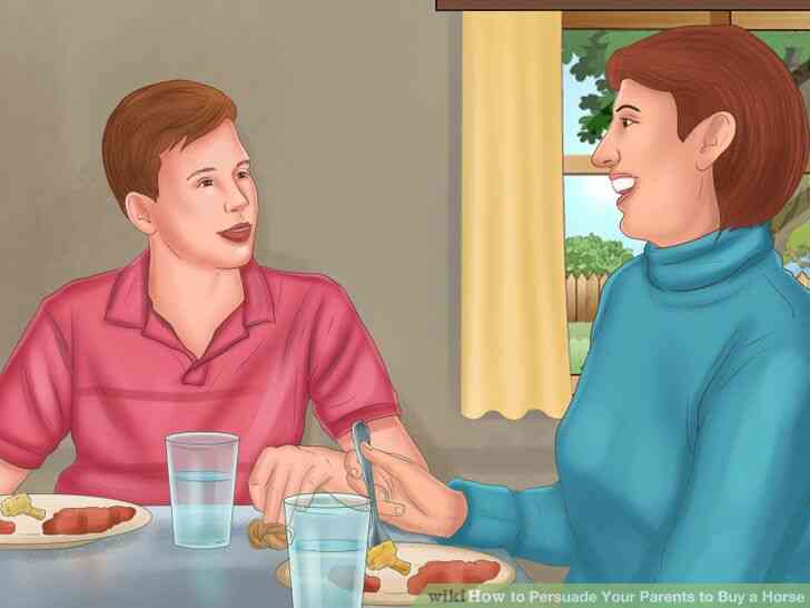 Image intitulée Convaincre Tes Parents d